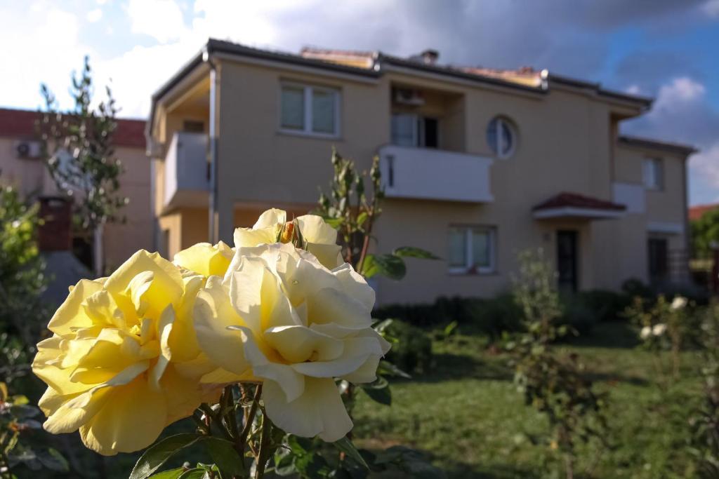 Apartments Emma Biograd Na Moru Dış mekan fotoğraf