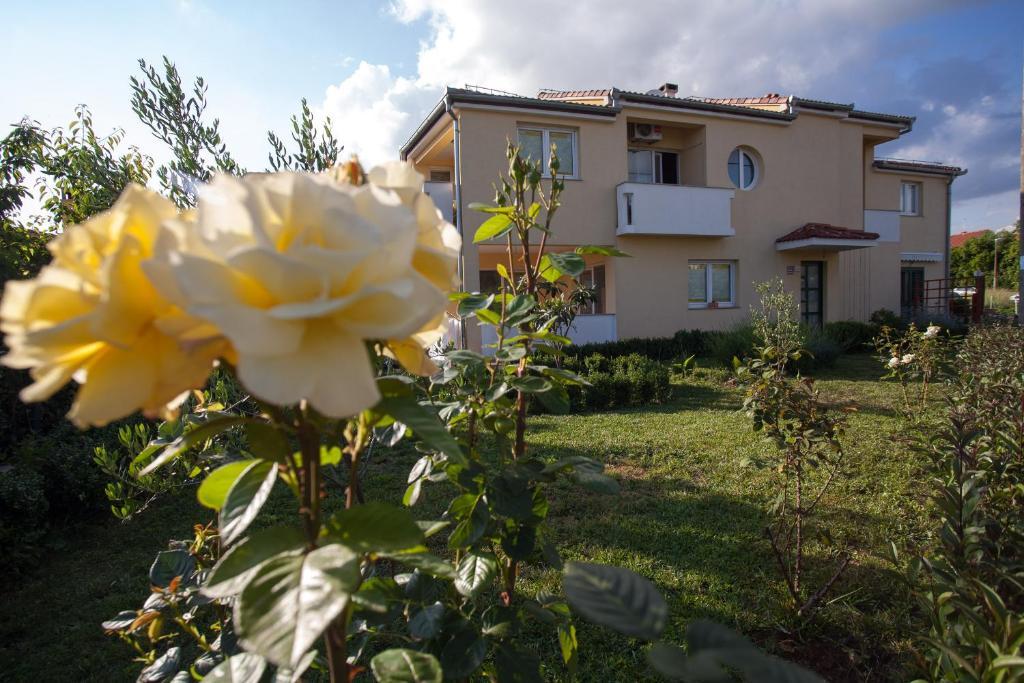 Apartments Emma Biograd Na Moru Dış mekan fotoğraf